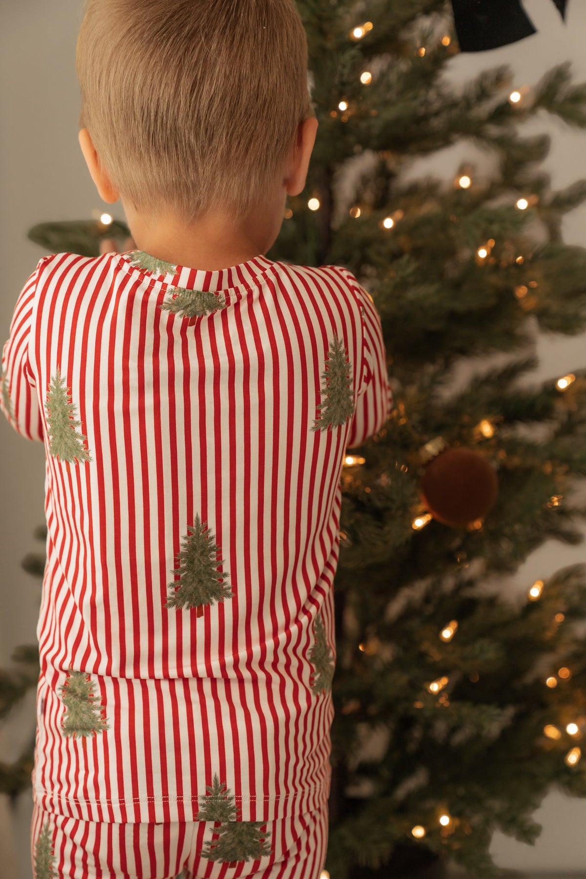 AB&CO Christmas