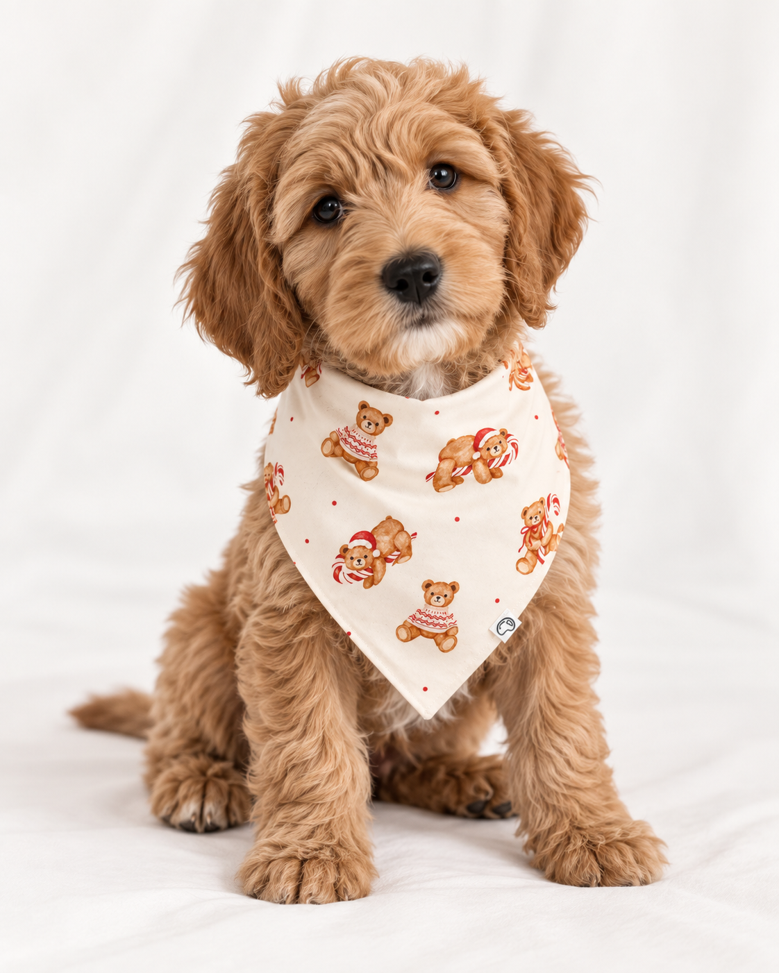 Christmas Teddy | Dog Bamboo Bandanna